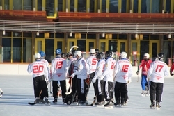DRUHÉ DOSTAVENÍČKO V DAVOSU - LEDEN 2015